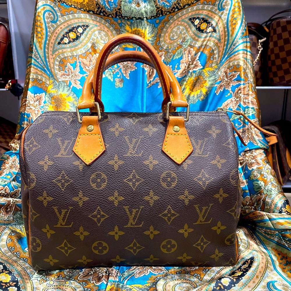 Louis Vuitton Monogram Bag Speedy 25